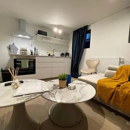 One Lux Basement Near Apartment Antwerp